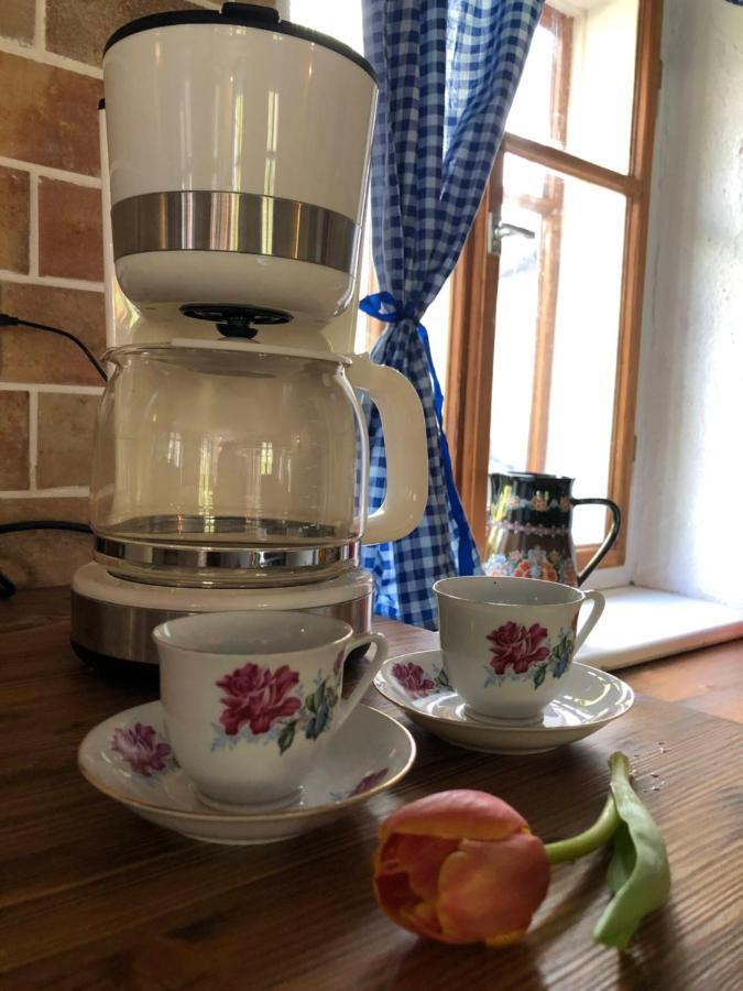 Certuv Mlyn - Pohadkova Chalupa - Jizerske Hory Weissbach Exterior foto
