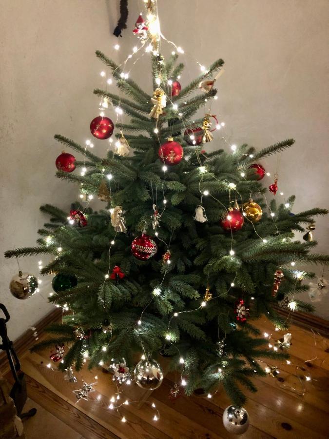 Certuv Mlyn - Pohadkova Chalupa - Jizerske Hory Weissbach Exterior foto